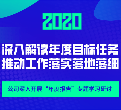 深入解读年度目标任务 推动工作落实落地落细——公司深入开展“年度报告”专题学习研讨