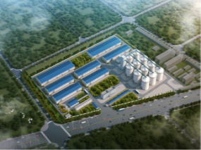 中央储备粮新蔡直属库有限公司平舆分公司新建仓项目