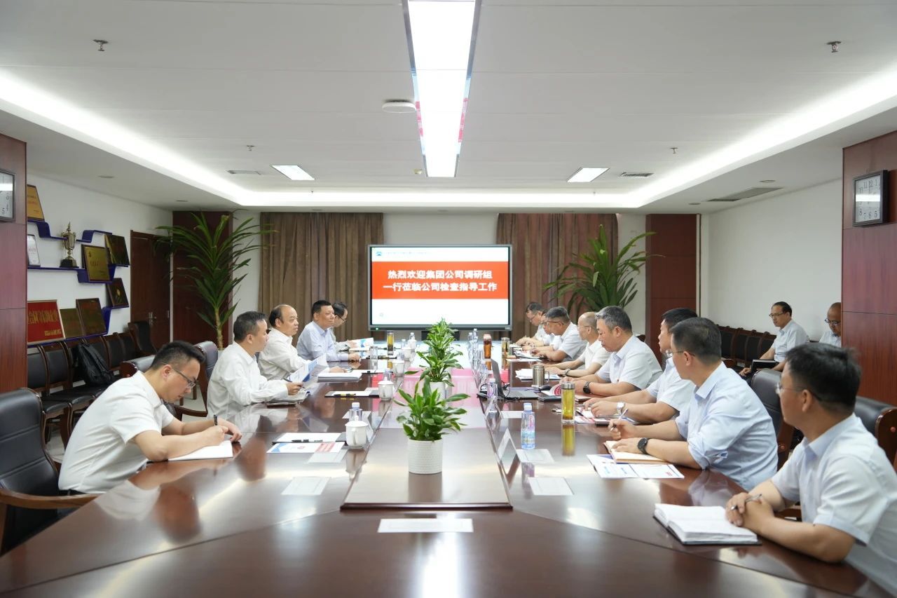集团领导毛卫东、袁伟到公司调研