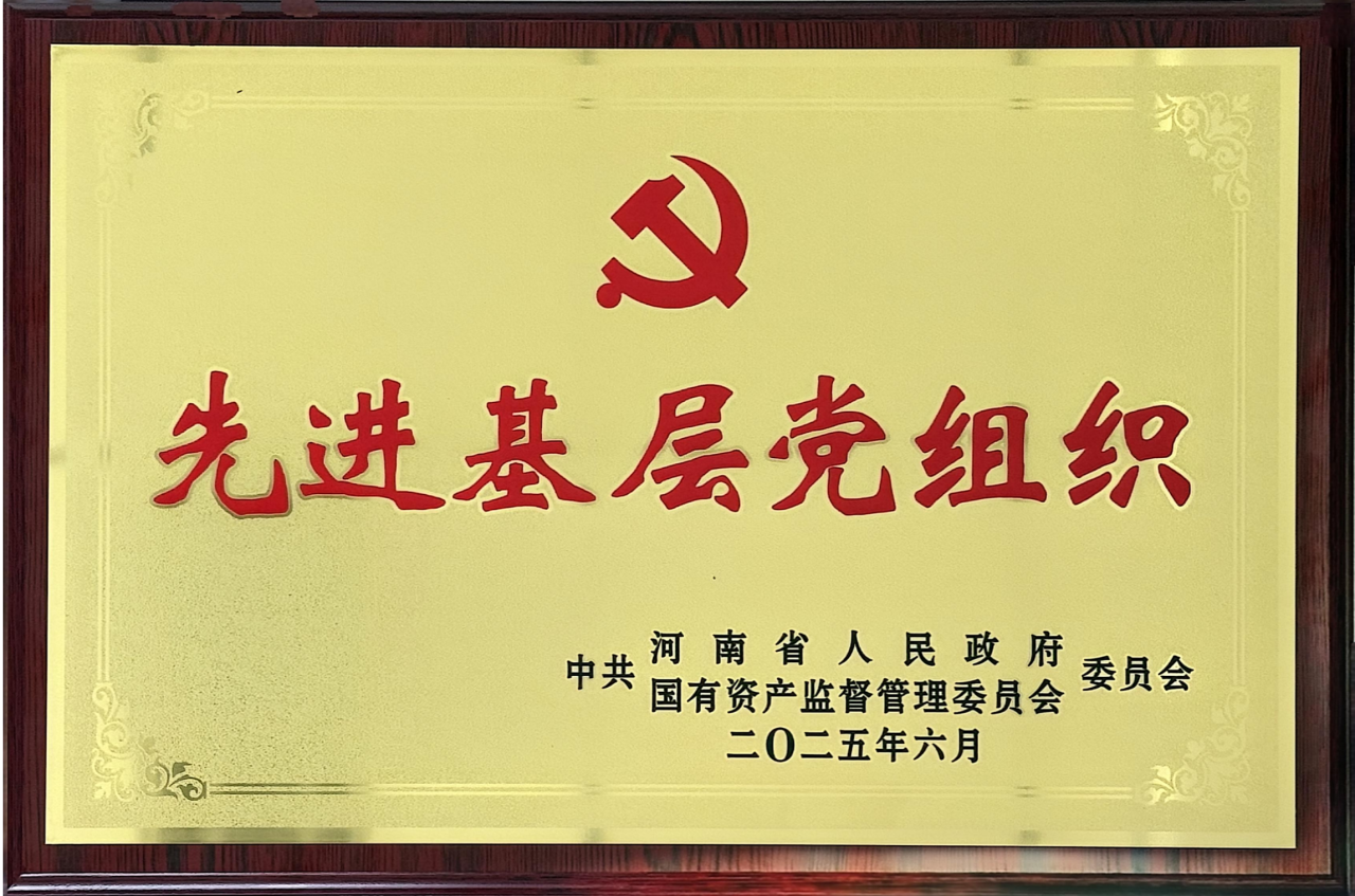 河南省政府国资委党委召开表彰大会 | 公司党委荣获“先进基层党组织”