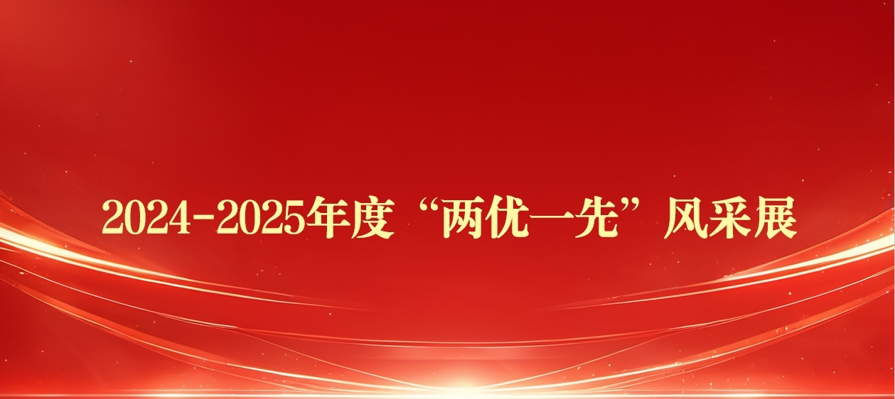 公司2024—2025年度“两优一先”风采展（1）