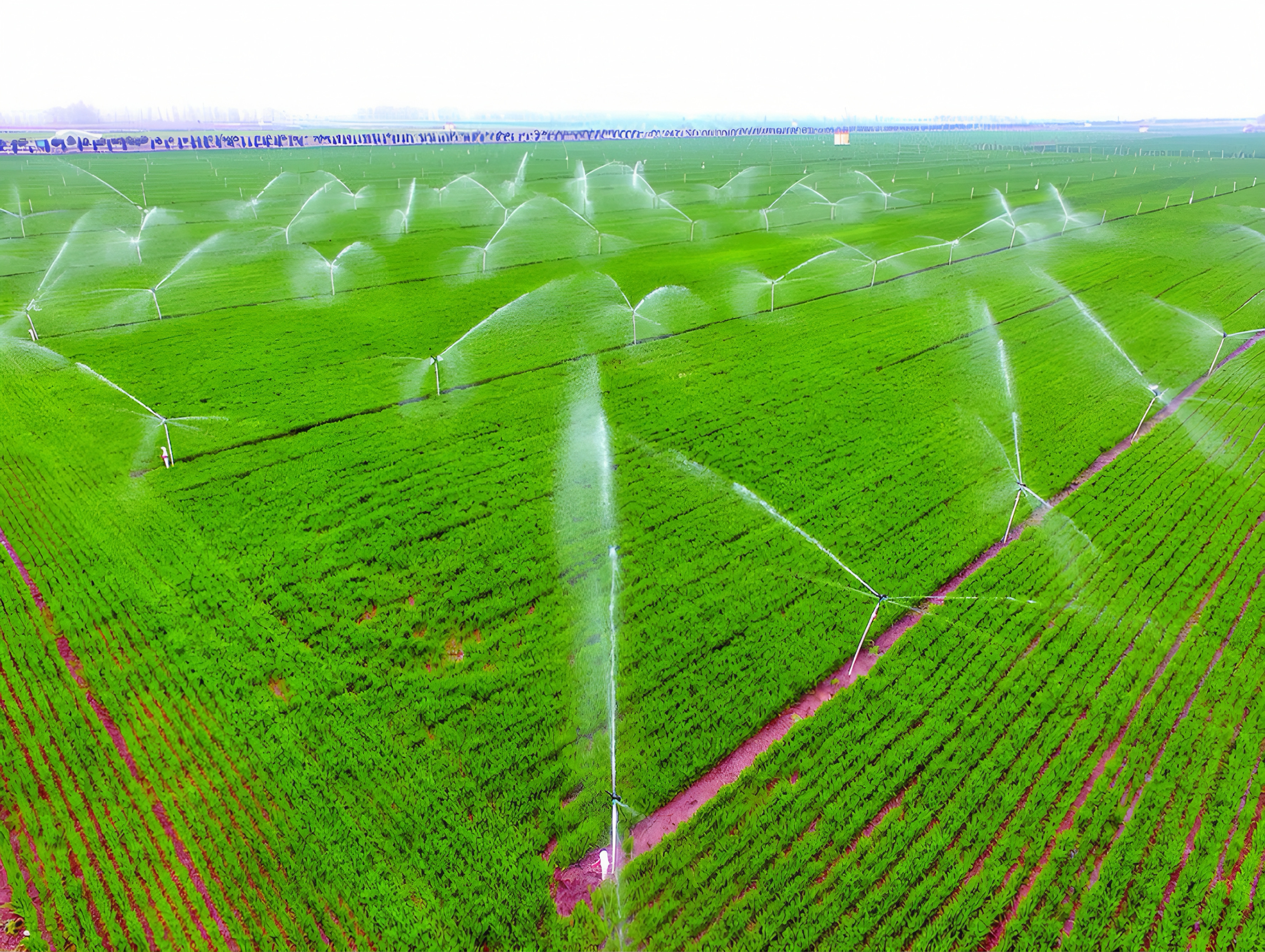 一线快讯 | 喜迎开门红 公司中标多个项目（1）